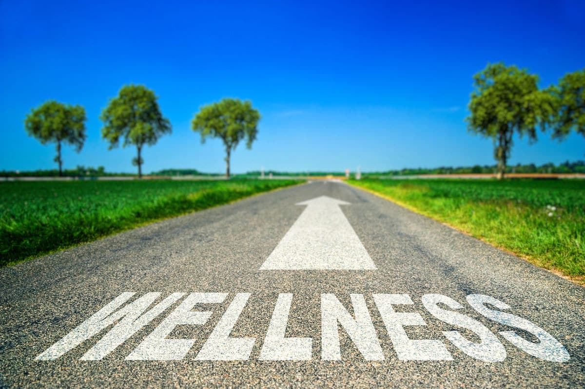 wellness journey
